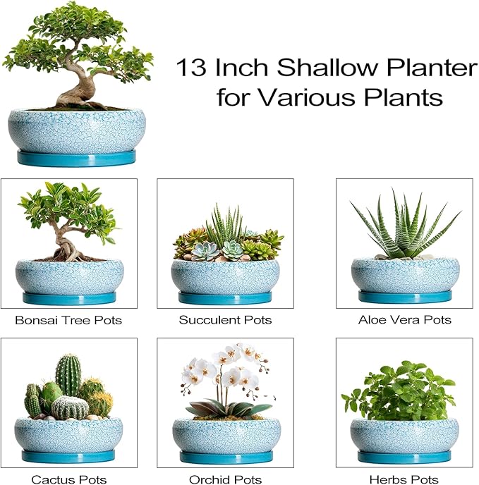 EPFamily Bonsai Pots - 13 Inch Ceramic Succulent Pots with Drainage Hole and Tray, Large Succulent Planter Indoor Outdoor, Round Planter, Shallow Plant Pot, House Decor, Gifts for Plant Lover, Blue