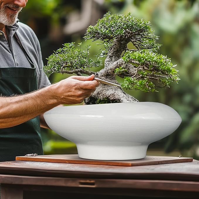 Teagas Bonsai Pots 13 Inch - Ceramic Succulent Pots with Drainage Hole Decorative Plant Pot Indoor Large Outdoor Planter Modern Flower Pot for Home Garden Office Room Decor Gray