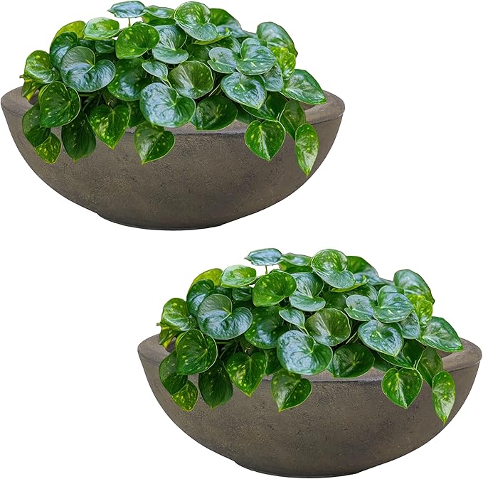 Sunnydaze Percival 20.75" Shallow Outdoor Planter Bowl for Flowers and Succulents - Polyresin Double-Walled Design - Sable - Set of 2