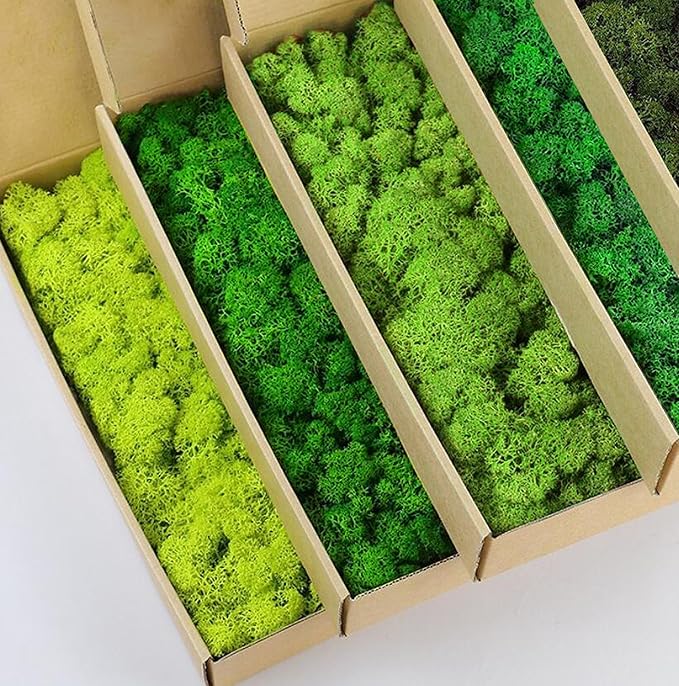 prefleur Preserved Reindeer Moss Natural Green DIY Kit Gardenning Art Wall Decor Florist Decor Easter Table Decor Wedding