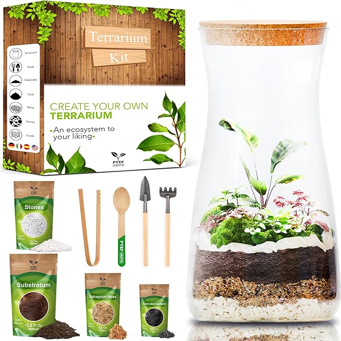 PYEF CRAFTS DIY Terrarium Kit for Adults – Build Your Own Self‑Sustaining Closed Ecosystem – 34 fl oz (1‑Liter) Glass Terrarium – Succulents, Air Plants, Fittonia, Fern – Plants Not Included
