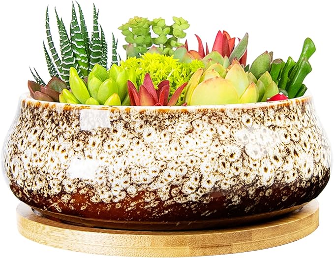 ARTKETTY Succulent Pots - 8 Inch Plant Pot, Large Bonsai Pots with Drainage Tray, Ceramic Planters for Indoor Outdoor Plants, Round Shallow Cactus Flower Plant Container Bowl Decorative Home Garden