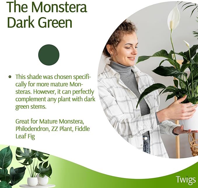 Twigs GA - Plant Support Stakes for Indoor & Outdoor Use, Durable Trellis Alternative for Climbing & Potted Plants, Houseplant Stem Holder Structures - Monstera (Dark Green), 10 Pack, 22" L, Original