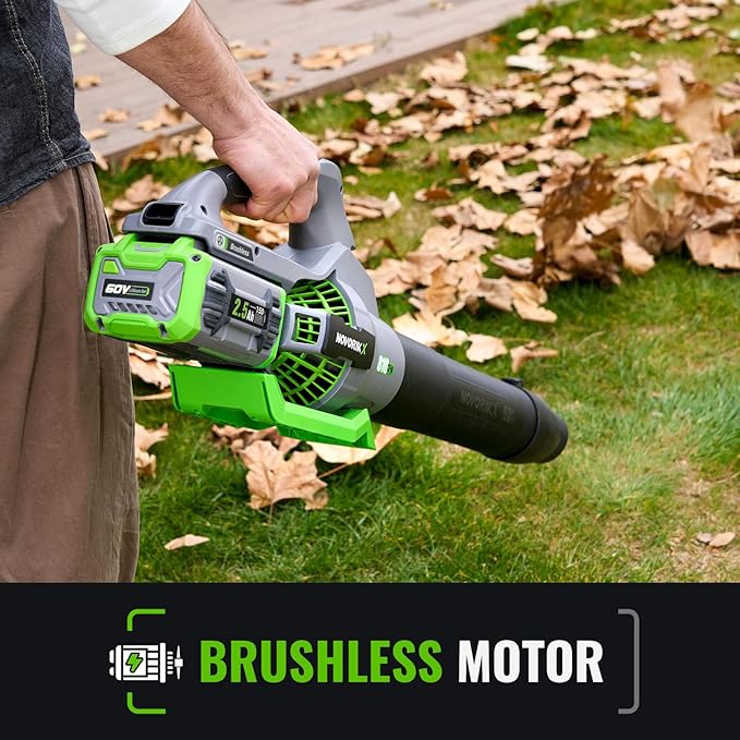 Electric Leaf Blower, 810 CFM Variable-Speed, 60-Volt Lithium-ion Cordless Leaf Blower with 2.5Ah Battery and Charger Included, Powerful for Yard Cleaning