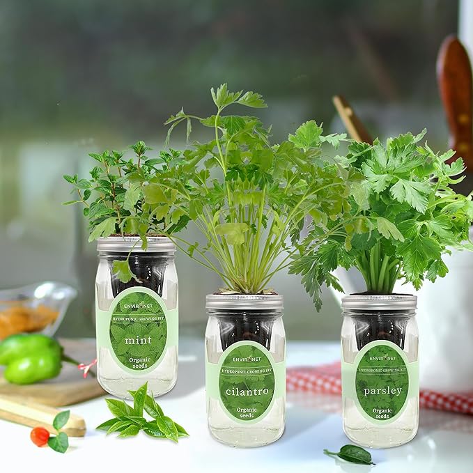 Environet Hydroponic Herb Growing Kit Set, Self-Watering Mason Jar Herb Garden Starter Kit Indoor, Windowsill Herbs Garden, Grow Your Own Herbs from Organic Seeds (Mint, Cilantro and Parsley)