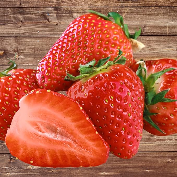Seascape Strawberry Plants - Great for Planters - Day Neutral (Heavy Producer) - Bare Root Strawberry Plants from Hand Picked Nursery (50)