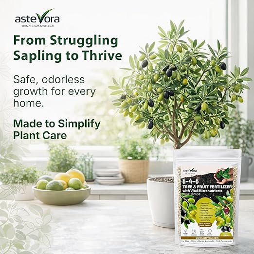 Olive Tree Fertilizer – Fruit Tree Fertilizer for Olive Tree, Citrus, Lemon, Lime, Fig, Avocado, Mango, Apple & Pomegranate – for Potted & Outdoor Trees (20 quarts - 40 lbs.)