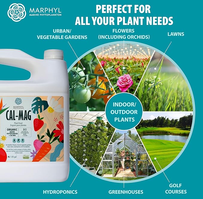 MARPHYL Organic CALMAG Liquid Fertilizer, Calcium + Magnesium, Corrects Common Plant Deficiencies, for Garden, Flowers, Vegetables, Succulents, Bamboo, Hydroponics 16.9 oz