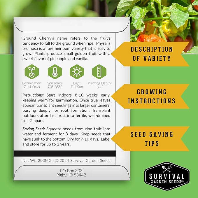 Ground Cherry Seeds for Planting – High Yield Heirloom Cape Gooseberry with Sweet Golden Fruit in Papery Husks, Non-GMO Golden Berry Garden Favorite - Survival Garden Seeds (1 Pack)