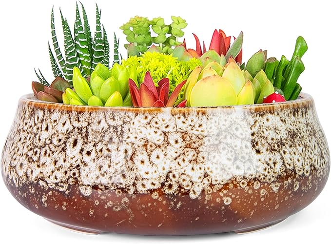 ARTKETTY Succulent Pots - 8 Inch Plant Pot, Large Bonsai Pots with Drainage, Ceramic Planters for Indoor Outdoor Plants, Round Shallow Cactus Flower Plant Container Bowl Decorative Home Garden