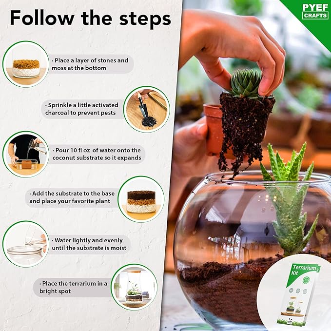 PYEF CRAFTS DIY Terrarium Kit for Adults – Build Your Own Self‑Sustaining Closed Ecosystem – 34 fl oz (1‑Liter) Glass Terrarium – Succulents, Air Plants, Fittonia, Fern – Plants Not Included