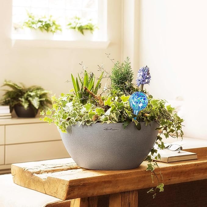 Mission Gallery Plant Watering Globes Set of 8 - Small Self Watering Globes for Indoor & Outdoor Plants - Multicolored, Automatic, Glass Watering Bulbs for Daily Use, Plant Watering Devices