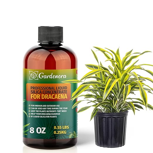 𝐏𝐑𝐄𝐌𝐈𝐔𝐌 Liquid Silica Plant Supplement - 8oz (250mL) - Dracaena Plants Liquid Silica Boost Fertilizer - Stronger Stems & Healthy Leaves for Indoor & Outdoor Dracaena Plants (Makes 45 Gallons)