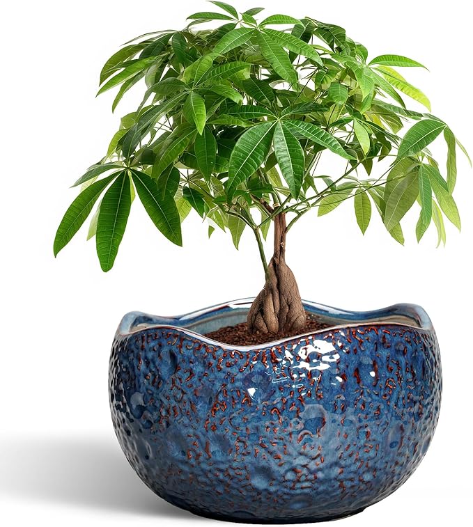 Thirtypot 10 Inch Plant Pot - Ceramic Planter for Indoor Outdoor, Round Bonsai Pots, Decorative Flower Pots with Drainage Hole, Modern Unique Planters, House Decor, Home Gifts, Retro Blue