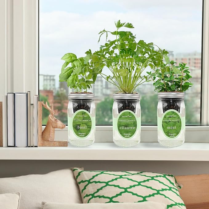 Environet Hydroponic Herb Growing Kit Set, Self-Watering Mason Jar Herb Garden Starter Kit Indoor, Window Herbs Garden, Grow Your Own Herbs from Organic Seeds (Basil, Cilantro and Mint)