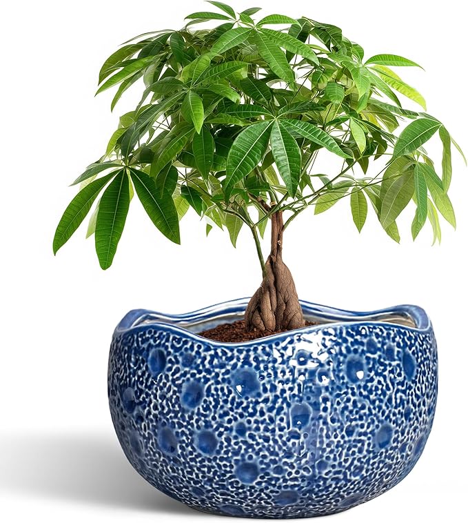 Thirtypot 10 Inch Plant Pot - Ceramic Pots for Plants Indoor Outdoor, Round Bonsai Pots with Drainage Hole, Decorative Flower Pot, Modern Unique Planters, House Decor, Housewarming Gifts, Blue