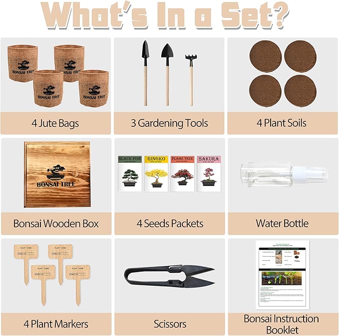 Sproutix Bonsai Garden Starter Kit, 4 Seeds Growing into Sakura, Ginkgo, Black Pine, Red Flame, Including Complete Gardening Tools & A Wooden Box with Cover, Christmas Gifts for Men Women Beginners