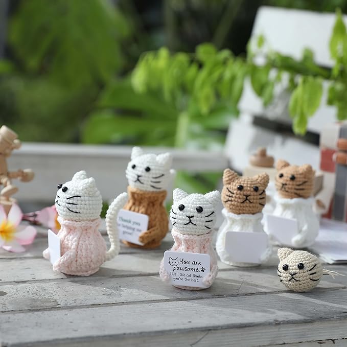 YOOJEE Positive Crochet Cat Animals Valentines Day Gifts for Teacher Women Coworker Gifts for Women Sister Daughter Kid – “You are Pawsome” Emotional Inspirational Support Birthday Thank You Gift