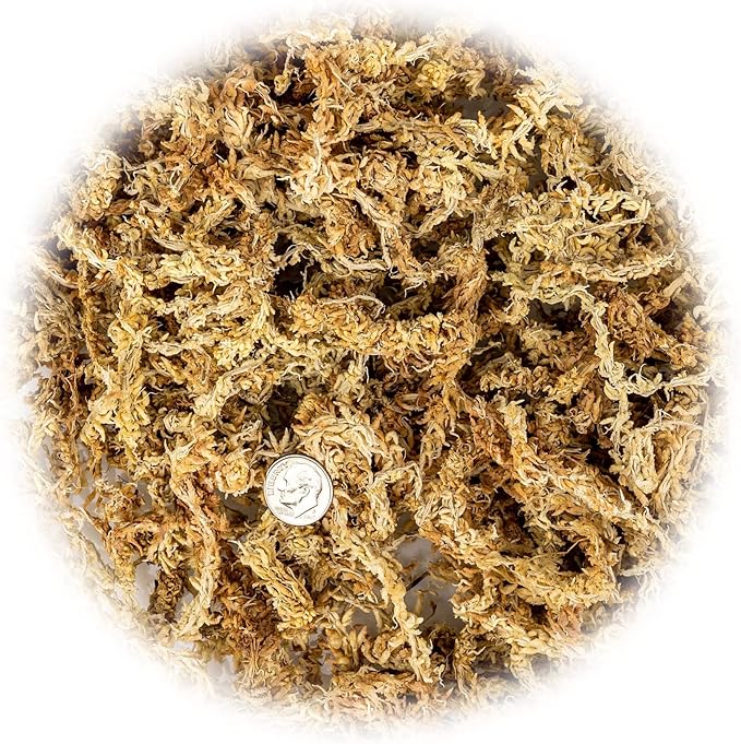 Premium New Zealand Sphagnum Moss by Gardenera - Organic Hand Mixed Long Fibered Sphagnum Moss Orchid - 4 Quart