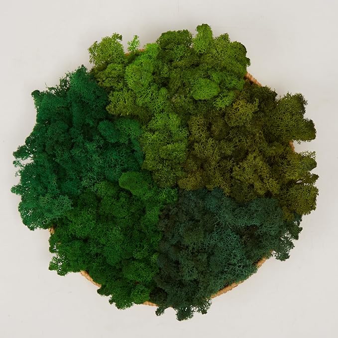 prefleur Preserved Reindeer Moss Natural Green DIY Kit Gardenning Art Wall Decor Florist Decor Easter Table Decor Wedding