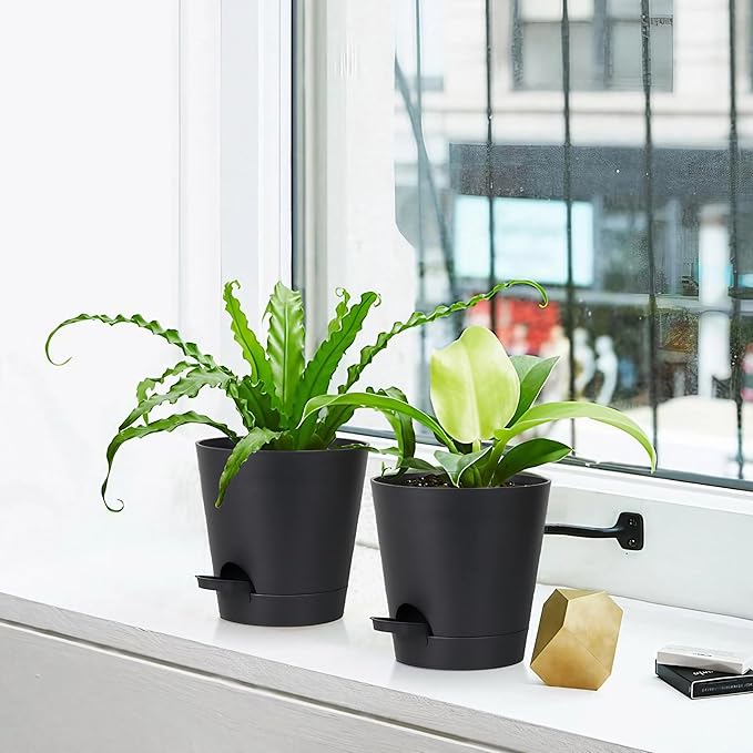 zople 5 Pack 5 inch Self-Watering Pots, African Violets Planter with Drainage Holes and Reservoir, Black Plastic Planter for Indoor Outdoor Plants Flowers and Houseplants Black, 5 inch 5 pcs