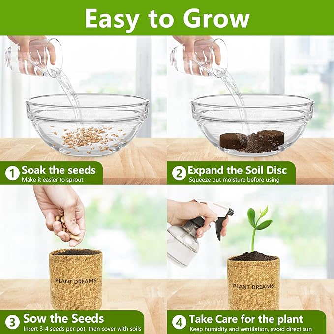 Bonsai Starter Kit with Seeds, Tools & Planters, Live Plants Indoor, Gardening Gifts for Women Men Mom Father Plant Lover