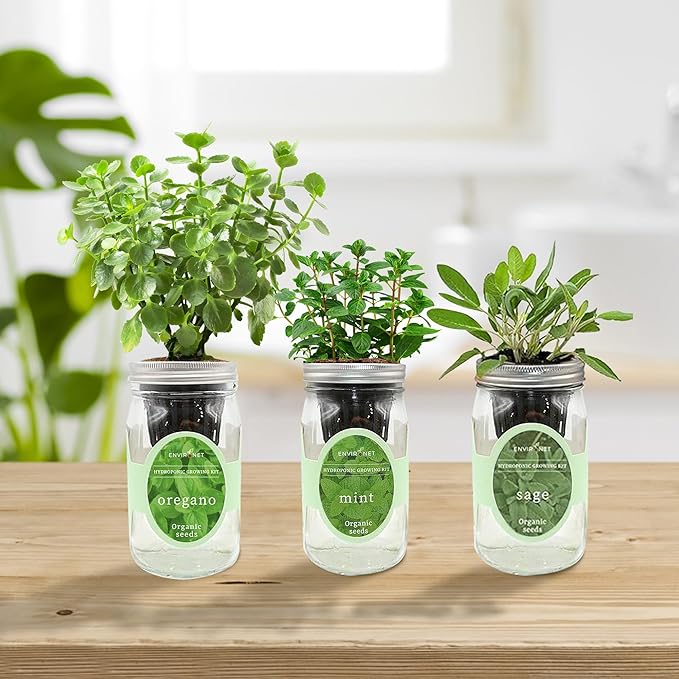 Environet Hydroponic Herb Growing Kit Set, Self-Watering Mason Jar Herb Garden Starter Kit Indoor, Windowsill Herbs Garden. Grow Your Own Herbs from Organic Seeds (Mint, Sage, Oregano)