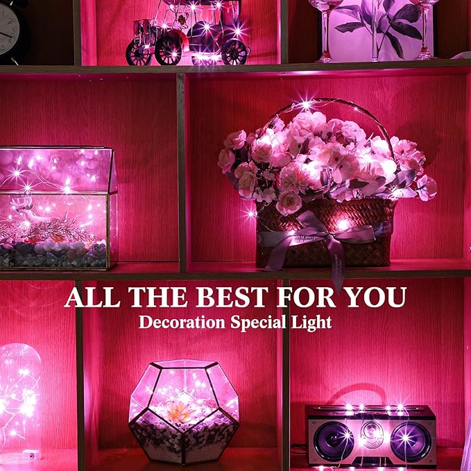 Hortsun 100 Packs Fairy Lights Battery Operated 3 Speed Modes, 7 Ft/ 2 M 20 LED Battery String Mini Waterproof Wire Twinkle Lights Bulk for Wedding Party Birthday Vases Decor (Pink Light)