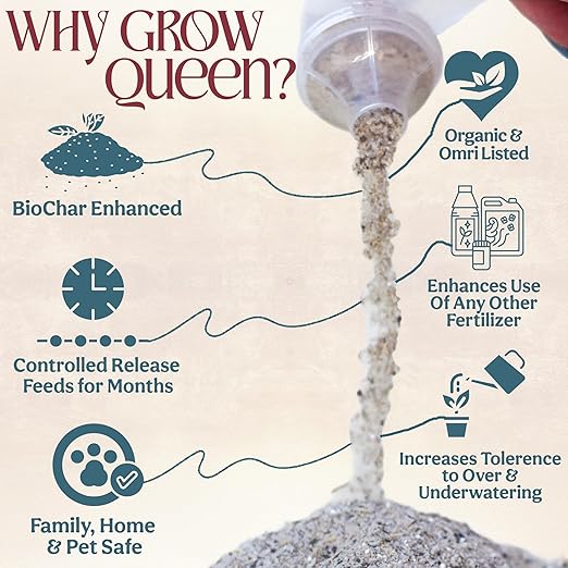 Grow Queen All-In-One Organic Succulent Fertilizer, Cactus Fertilizer, Succulent Plant Food, Bonsai & Cactus Food, 1lb bag = 25 Single Servings, Fast & Slow Release feeds up to 100 plants for 8 months