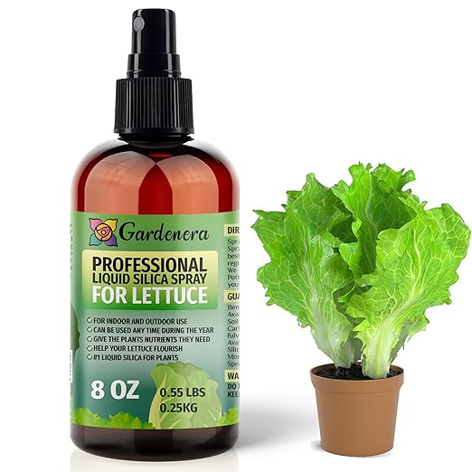 𝐒𝐔𝐏𝐄𝐑𝐈𝐎𝐑 Liquid Silica Boost Fertilizer and Supplement Spray for Lettuce Plants – Pre-Mixed, Ready-to-Use Liquid Silicon Plant Superfood Mist for Indoor & Outdoor Plants – 8oz