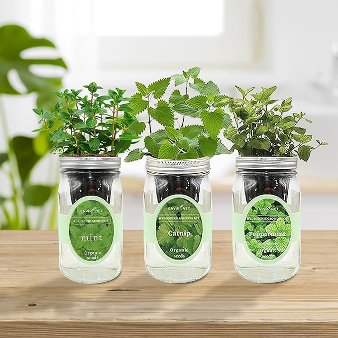Environet Hydroponic Herb Growing Kit Set, Self-Watering Mason Jar Herb Garden Starter Kit Indoor, New Christmas Gift for Mom (Mint, Peppermint & Catnip)