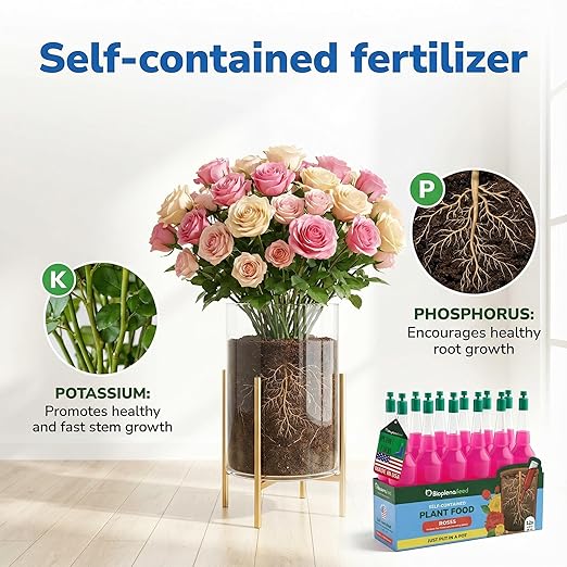 All-Purpose Rose Plant Food Fertilizer | Easy Cut & Stick Liquid Nutrient Solution for Indoor & Outdoor Plants | Promotes Vibrant Blooms, Strong Roots & Lush Foliage | Made in The USA