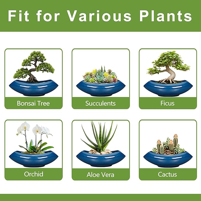 Teagas Bonsai Tree Pot 18 Inch - Ceramic Succulent Pots Large Bonsai Planter for Indoor Outdoor Plants Decorative Plant Pot with Drainage Hole Flower Pot for Home Garden Room Decor Blue