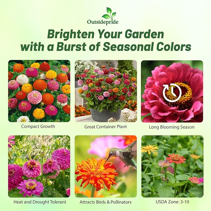 Outsidepride Zinnia Seeds - 1000 Pcs Annual Blend of Hardy Compact Mixed Color Ball-Shaped Blooms for Planting in Outdoor Containers, Borders, Flower Beds, Cutting Gardens & Pollinator-Friendly Spaces
