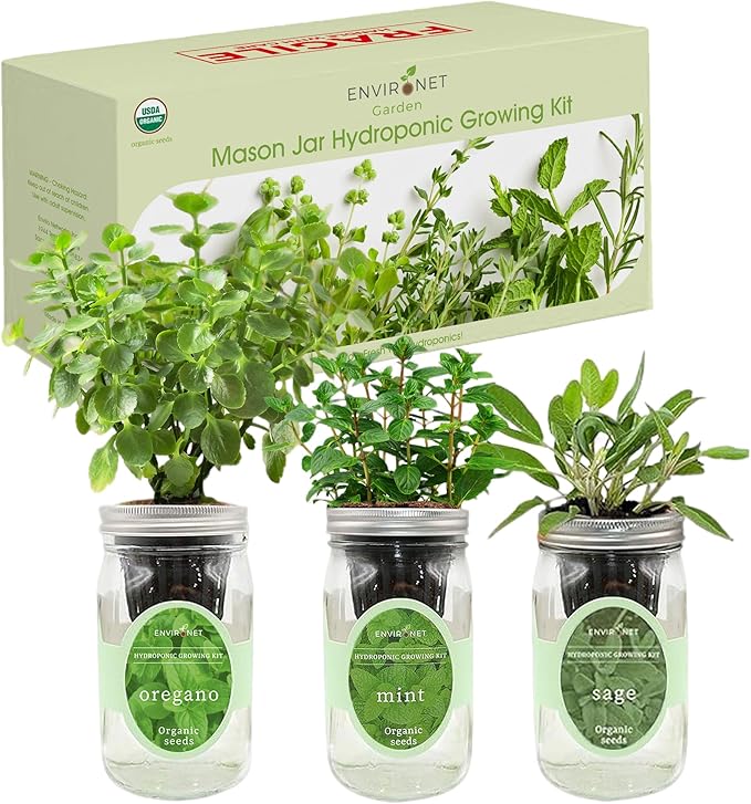 Environet Hydroponic Herb Growing Kit Set, Self-Watering Mason Jar Herb Garden Starter Kit Indoor, Windowsill Herbs Garden. Grow Your Own Herbs from Organic Seeds (Mint, Sage, Oregano)