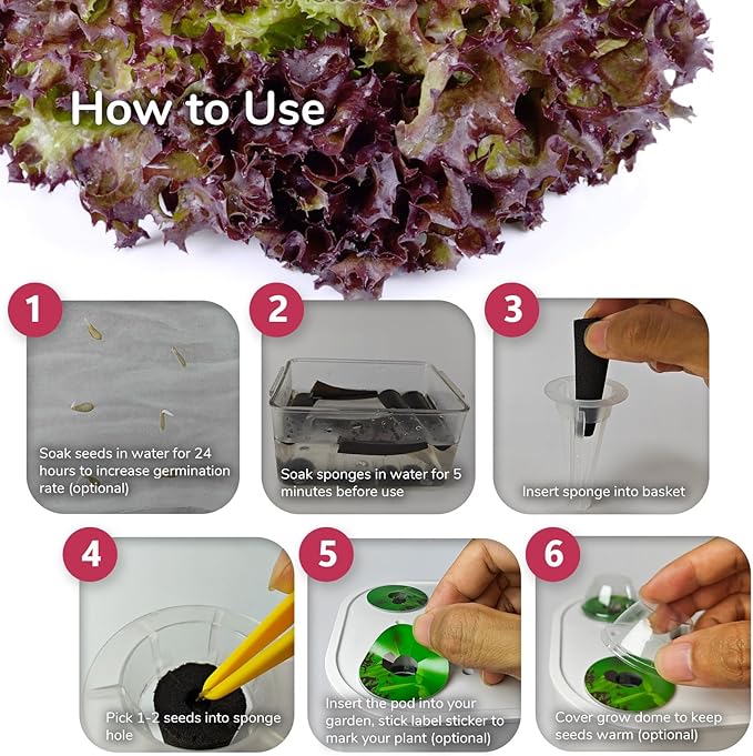 20-pod Seed Kit (Lettuce Salad Green) for AeroGarden, Mufga, iDOO and Other Indoor Hydroponic Gardens - 20 Grow Sponges, Baskets, Domes, Labels