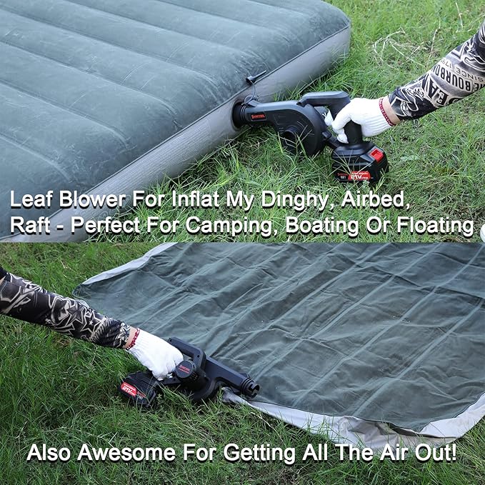 Mini Blower Black,2- in-1 Cordless Small Blower with 21v Lithium Battery, for Inflating,Blowing Leaf,Clearing Dust & Small Trash,Car,Computer Host,Hard to Clean Corner by SHINTYOOL