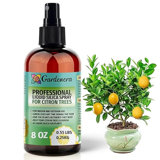 𝐒𝐔𝐏𝐄𝐑𝐈𝐎𝐑 Liquid Silica Boost Fertilizer and Supplement Spray for Citron Trees – Pre-Mixed, Ready-to-Use Liquid Silicon Plant Superfood Mist for Indoor & Outdoor Plants – 8oz