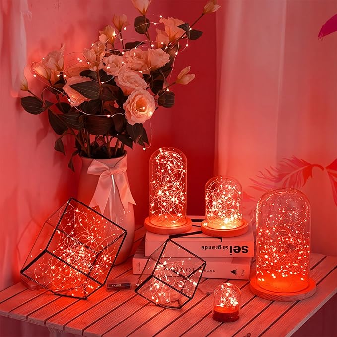 Lakumu Red Fairy Lights Battery Operated, Rechargeable LED String Lights with Timer, Mini Twinkle Lights for Bedroom, Christmas, Wedding, Centerpiece Table Decor (5M/16FT Red)