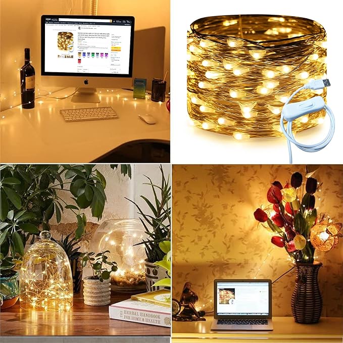 RUICHEN Silver Wire 33 Ft 100 LED USB Fairy String Lights with On/Off Switch (Warm White)