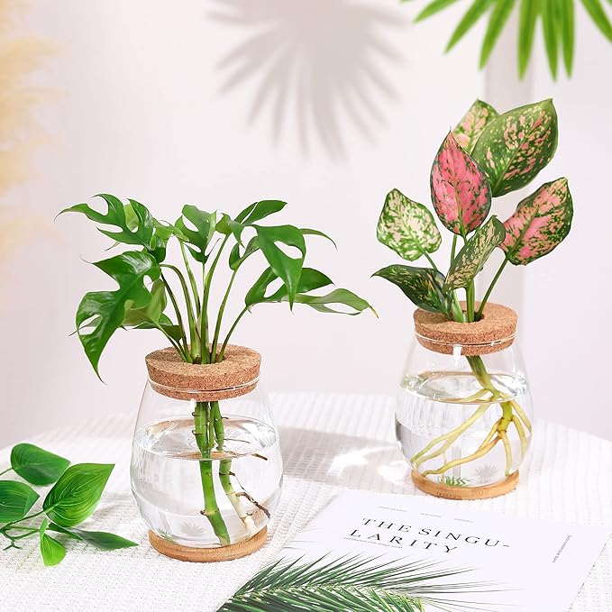 onepeng 2Pcs Propagation Vases for Plants, Well-Made Plant Terrarium, Hydroponic Glass Container Vase Jars, Plant Lover Gifts for Women, Windowsill Kitchen Desktop Decorations