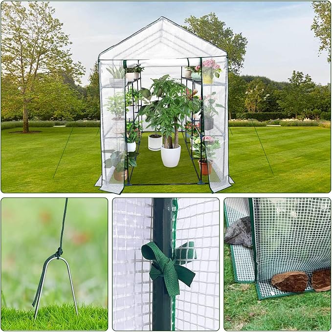 Walk-in Greenhouse for Outdoors, Small Green House Outdoor with 3-Tier Shelves, Roll-Up Zippered Door & Mesh Window, All-Season Plant House for Vegetables Herbs Flowers for Patio Backyard Gardening