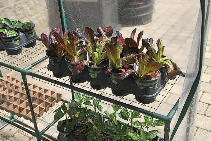 Miracle-GRO 4'8" x 4'8" x 6'5" All-Season Small Walk-in Greenhouse with 8 Wire Shelves for Outdoors, Easy-Access and Durable, Translucent