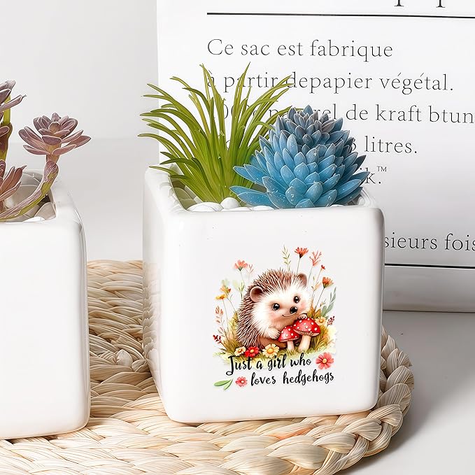 BJDAMAI Hedgehog Succulent Planter Flower Plant Pot Small, Gifts for Women Teens Girls Kids, Hedgehog Lovers Themed Stuff Accessories Things Decor Merch, Home Office Table Desk Decoration!