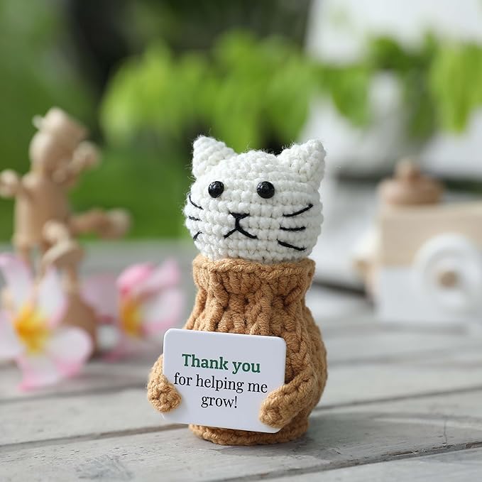 YOOJEE Positive Crochet Cat Valentines Day Gift “Thank You for Helping Me Grow!” Teacher Appreciation Birthday Gifts for Women Daughter Sister Friend Coworkers Mentor/Tutor/Coach Cat Lovers