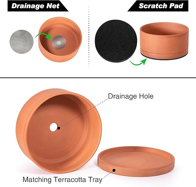 D'vine Dev 10 Inch Succulent Terracotta Shallow Pot with Drainage Hole and Saucer, Round Cylinder Planter Pot for Plant Flower, 40-Y-B-0