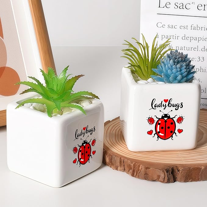 BJDAMAI Ladybugs Succulent Planter Flower Plant Pot Small, Gifts for Women Teens Girls Kids, Ladybugs Lovers Themed Stuff Accessories Things Decor Merch, Home Office Table Desk Decoration!