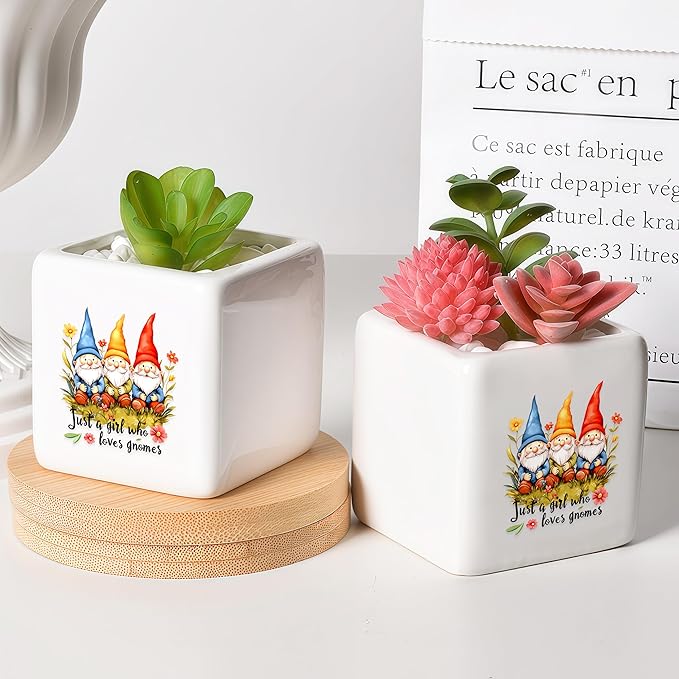 BJDAMAI Gnomes Succulent Planter Flower Plant Pot Small, Gifts for Women Teens Girls Kids, Gnomes Lovers Themed Stuff Accessories Things Decor Merch, Home Office Table Desk Decoration!