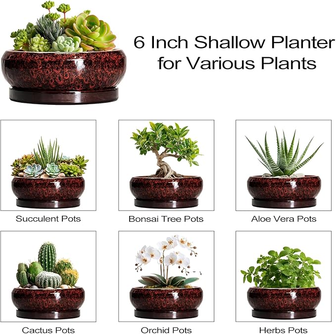 EPFamily Succulent Planters 6 Inch - Ceramic Bonsai Pots with Drainage Hole and Saucer, Small Bonsai Planter, Round Planter Bowl, Shallow Plant Pots Indoor, Room Decor, Gifts for Plant Lovers, Red