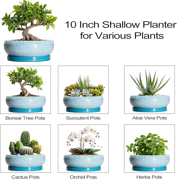 EPFamily Bonsai Pots 10 Inch - Shallow Ceramic Planters for Indoor Outdoor, Succulent Pots with Drainage Hole and Saucer, Round Planter Bowl, Succulent Planter, Garden Decor, Housewarming Gifts, Blue